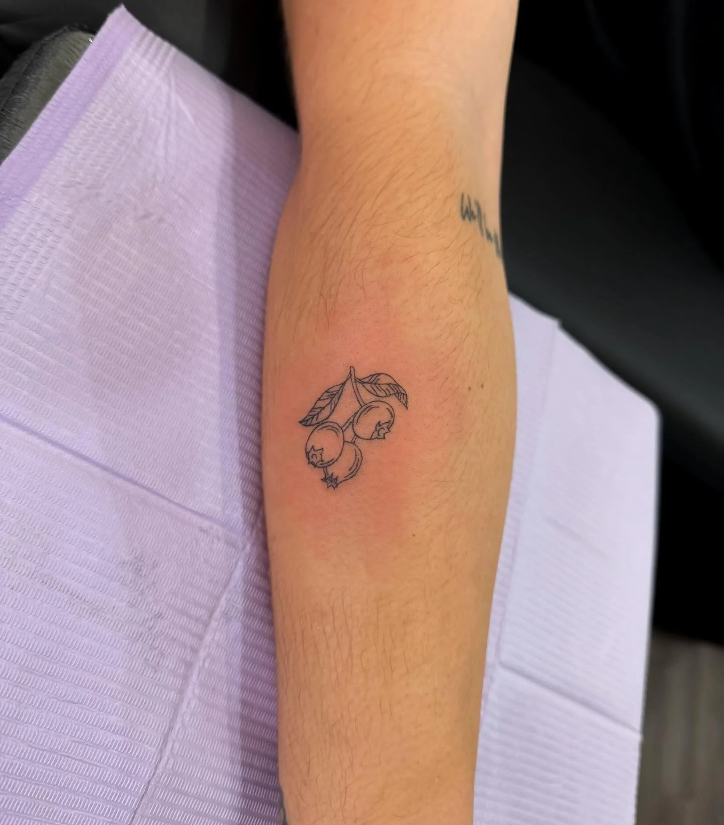 Some cutesie little blueberries to get you through your Wednesday 🫐