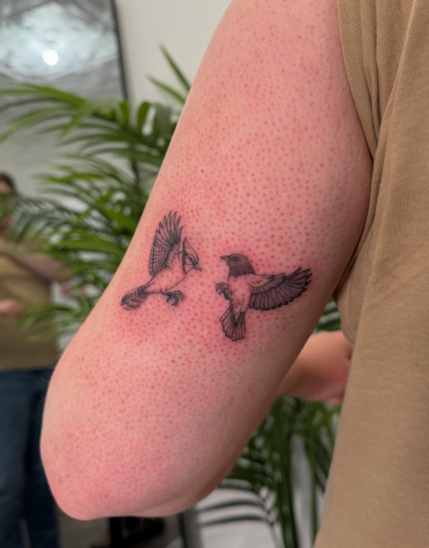 Been loving the ideas you guys have been bringing to me lately!! 🐤
.
.
.
.
.
#covestudios #tattoostudio #birdtattoo #tattoo #tattooinspiration