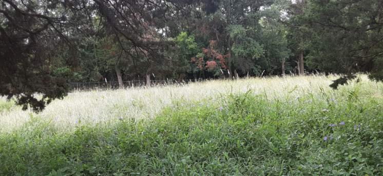 Resized_20250703_131045.jpeg
