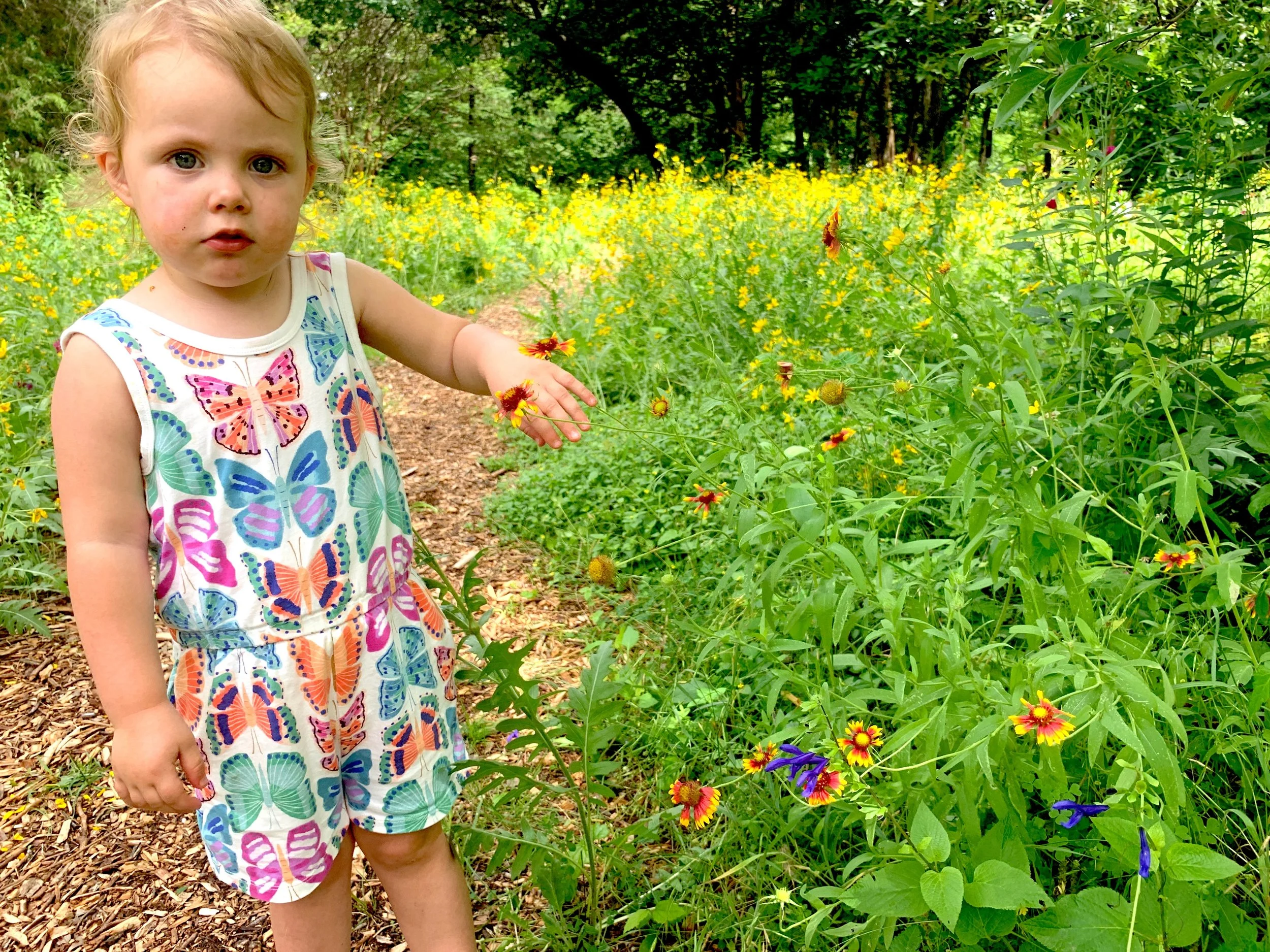 Where Memory Meets Ecology: A New Model for Sacred Landscapes Presentation by Julie Fineman