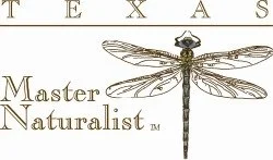From Forgotten Cemeteries to Future Stewards: Conservation, Community, and the Next Generation," highlights three examples of conservation in action through the Constellation of Living Memorials (CLM)