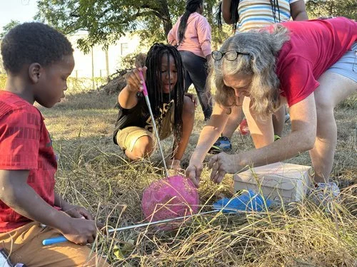 Bug Identification Education
