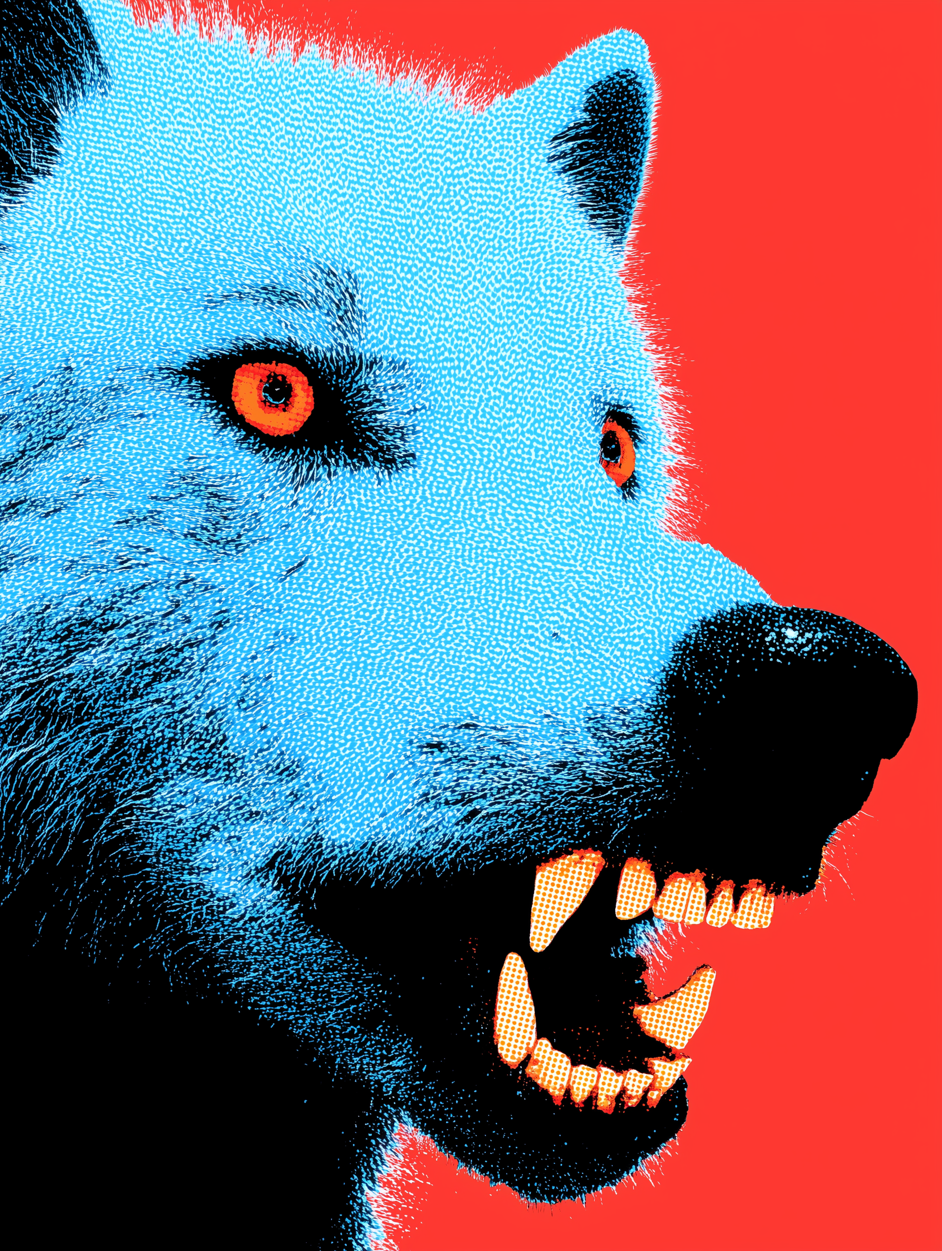 O Lobo Atrás da Porta