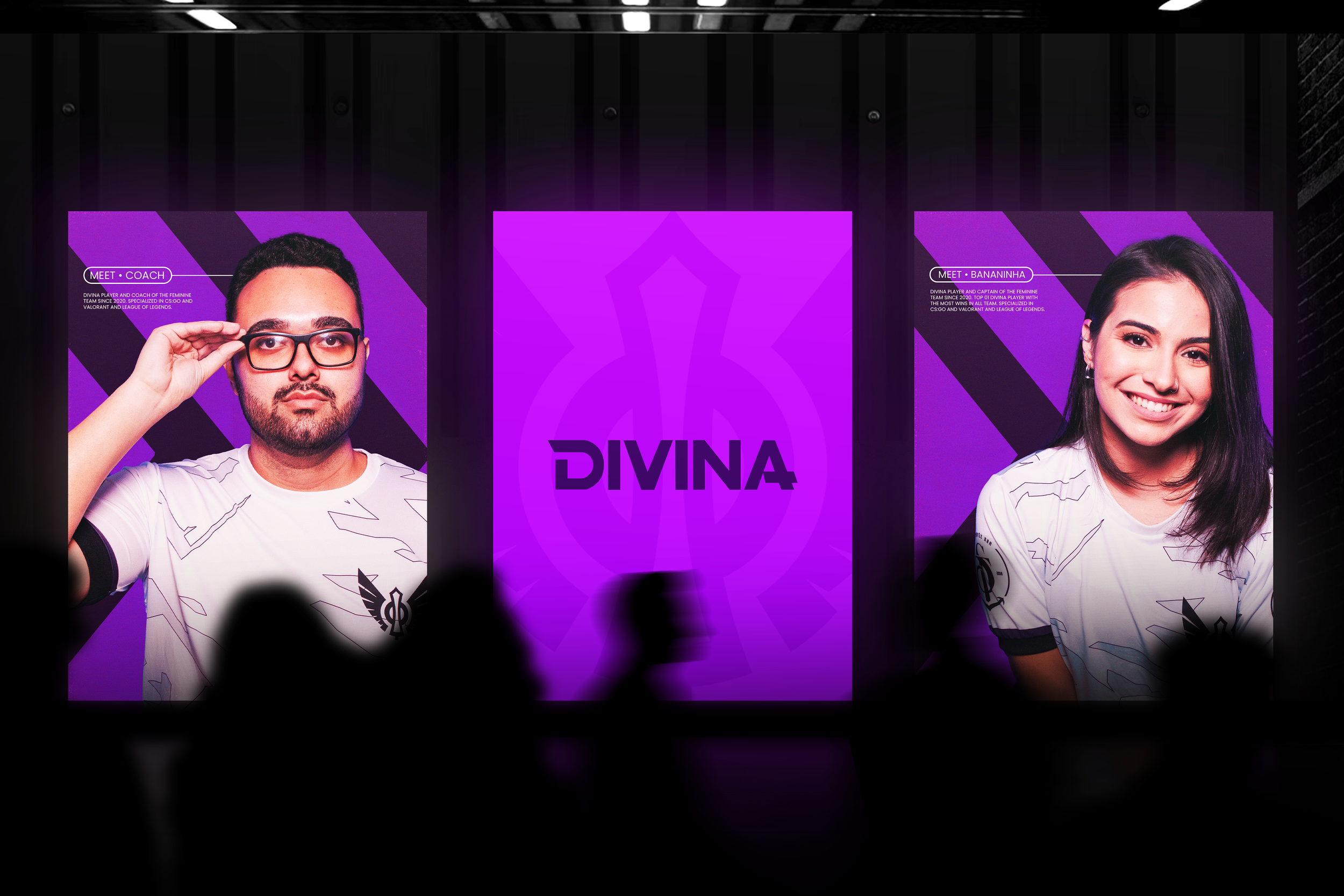 Divina Banner_triplo.png