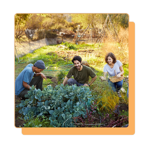emplpyee volunteers in garden