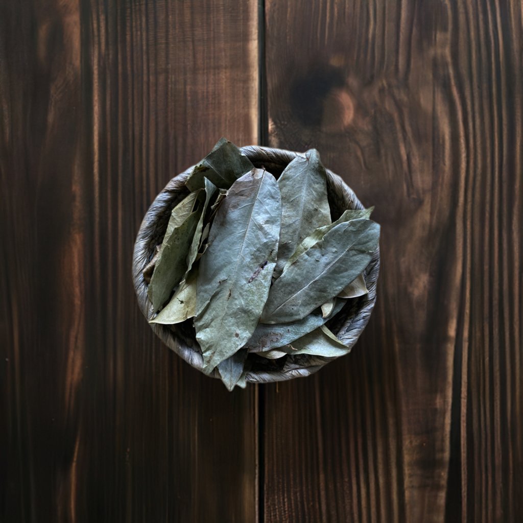 Soursop Leaves (Hoja de Guanábana)