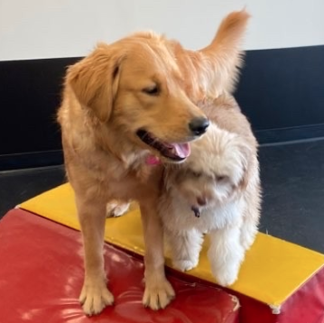 Screenshot 2023-11-08 at 8.33.37 PM.png