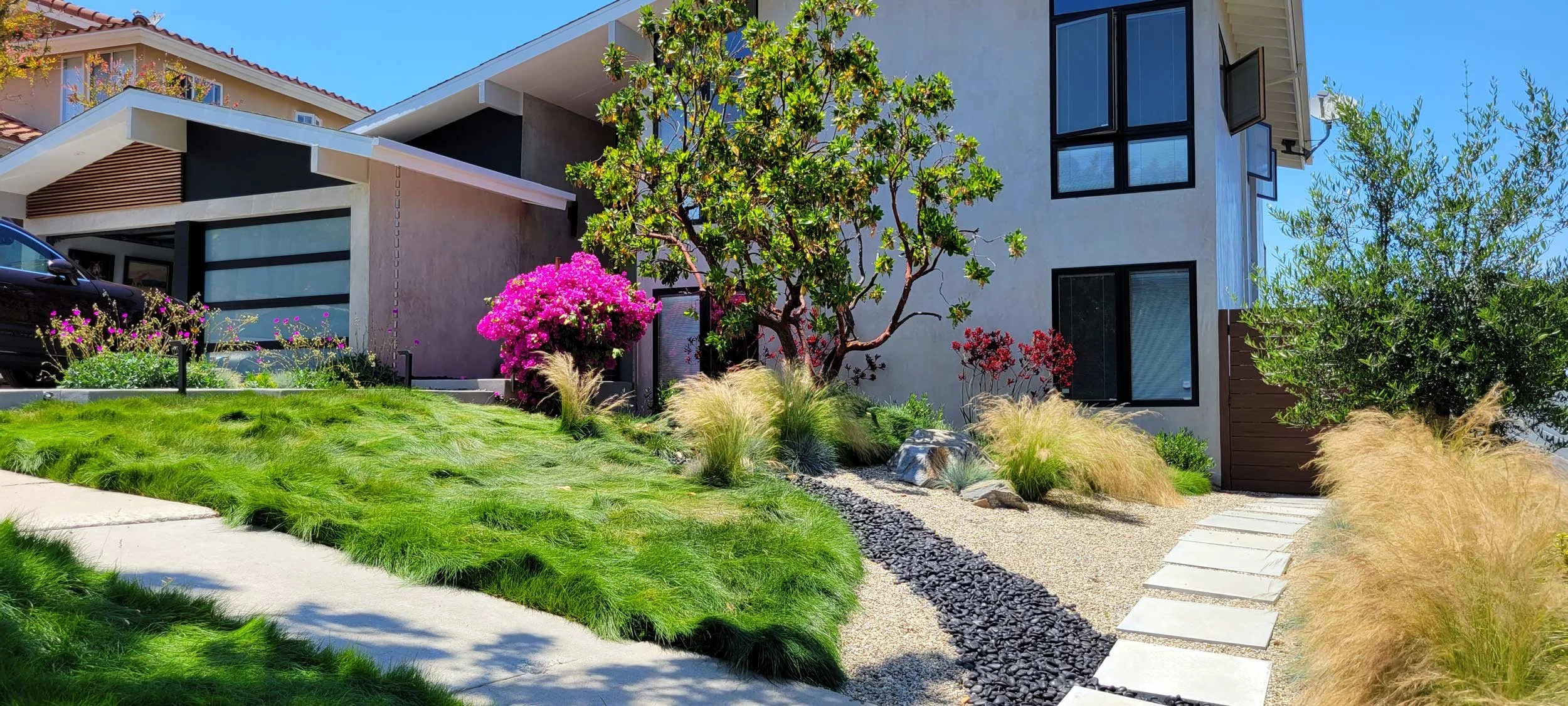Modern house with landscaped front yard featuring long architectural no mow grass, a variety of colorful plants, a small gravel pathway, and a stone sidewalk, under a clear blue sky.