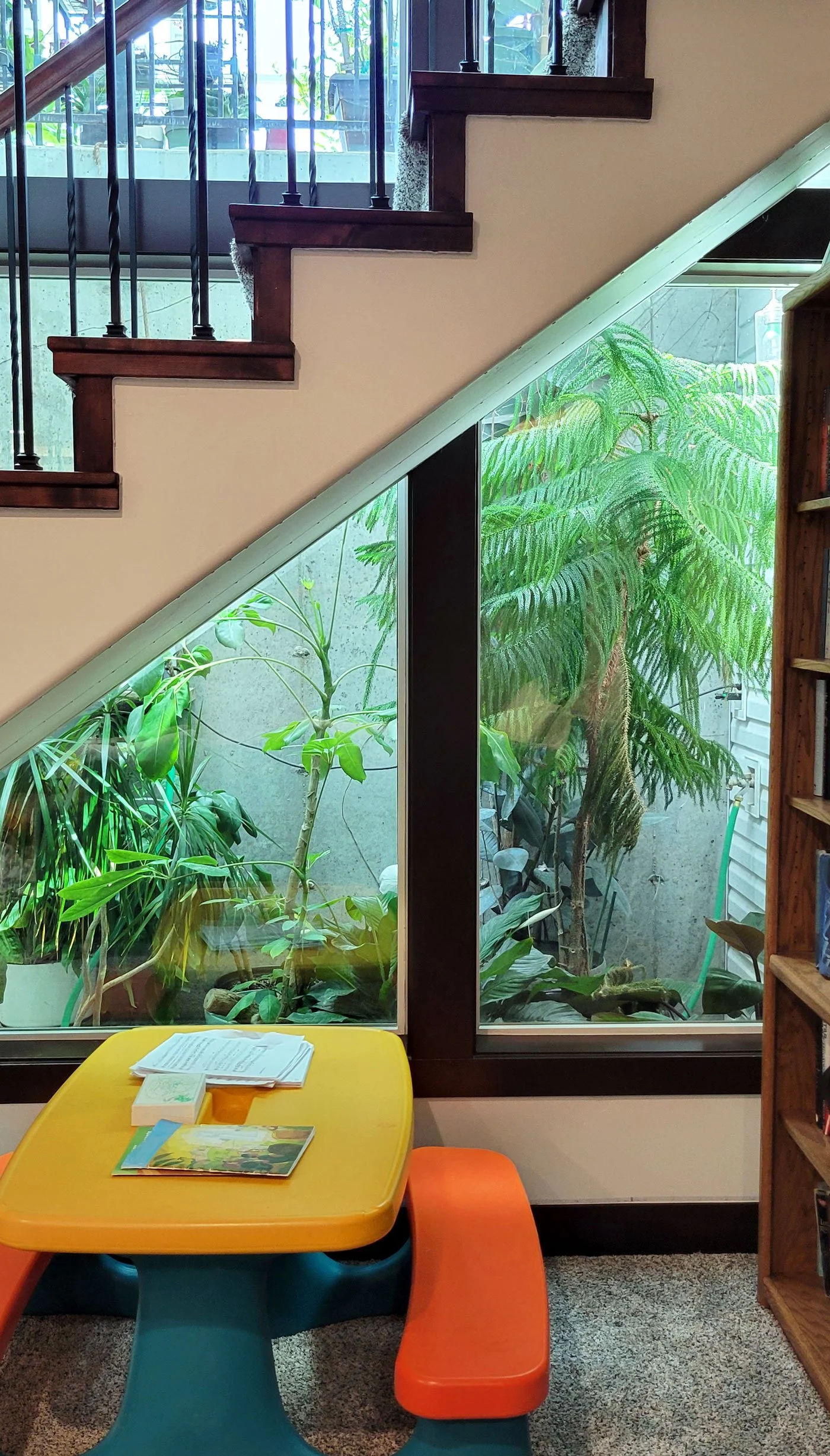 An indoor basement seating area reading nook with a bright yellow table, colorful curved seats, and a large window showing lush green plants inside a greenhouse.