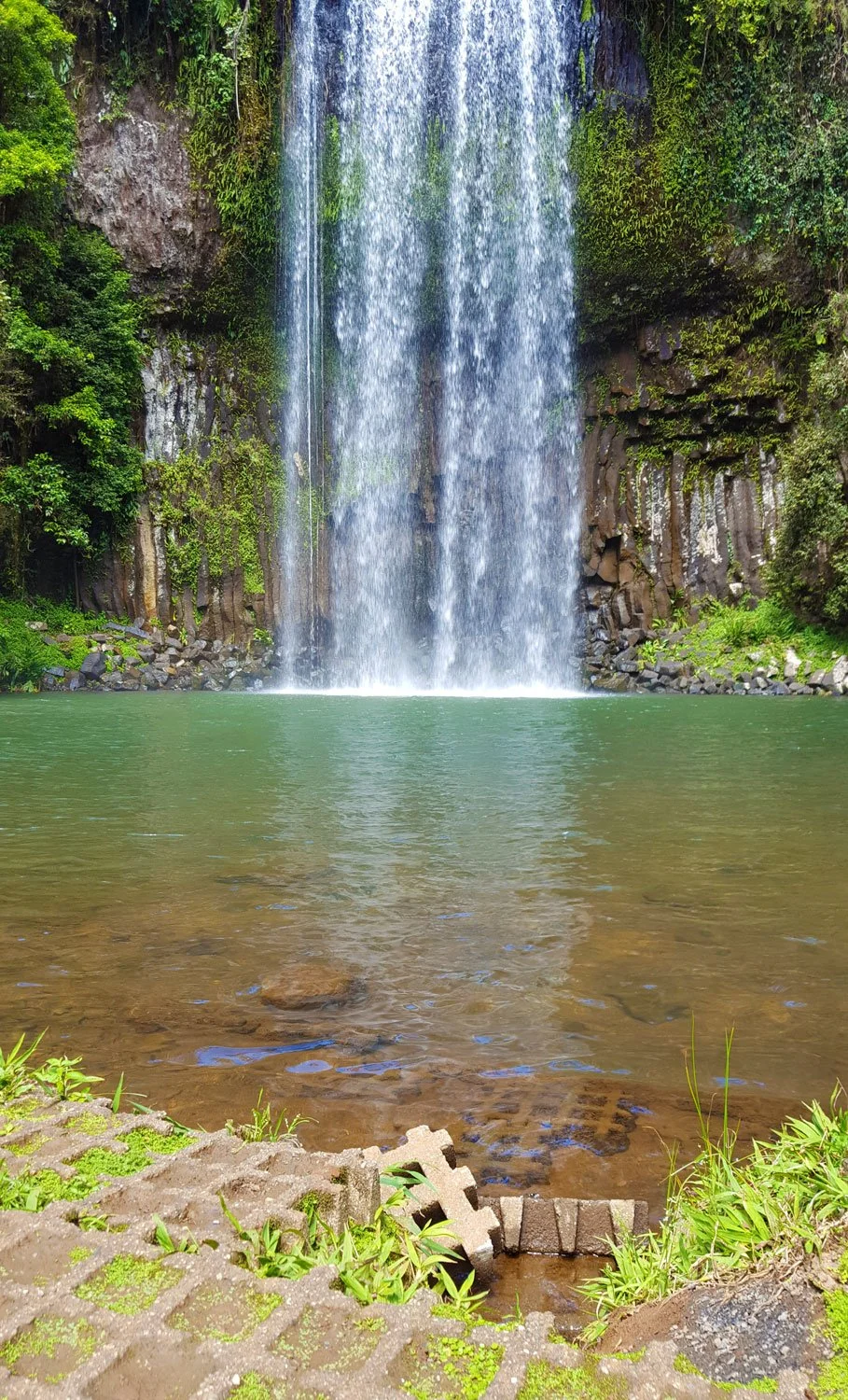 A waterfall cascading into a pool surrounded by lush green vegetation and moss-covered rocks.