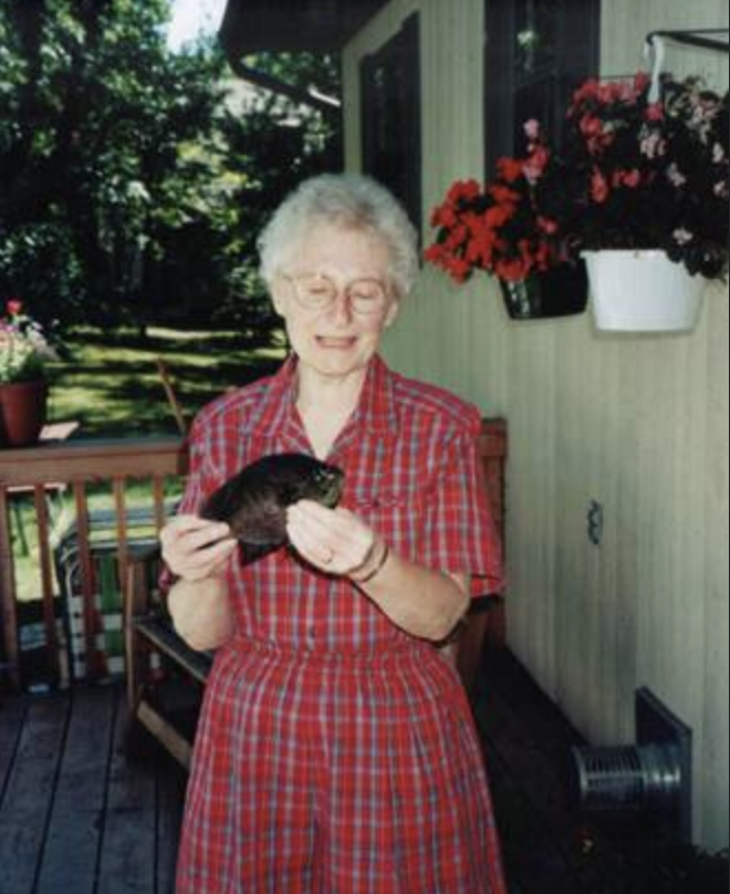 Screenshot 2026-02-02 at 2.17.45 PM.png