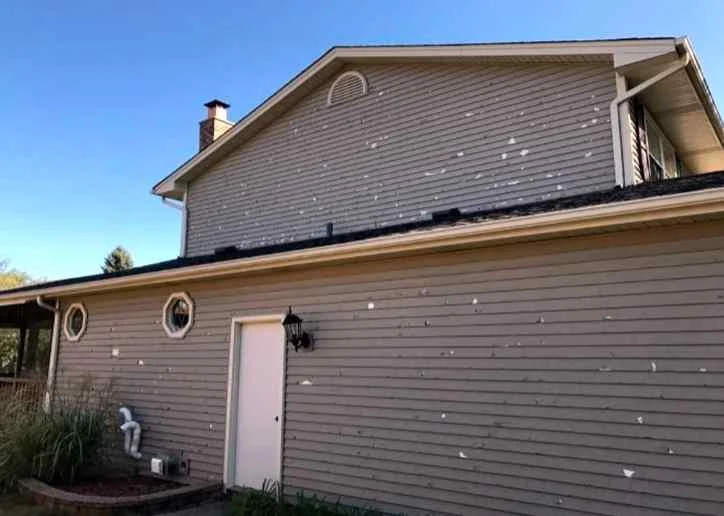 hail damage on siding 2.jpg
