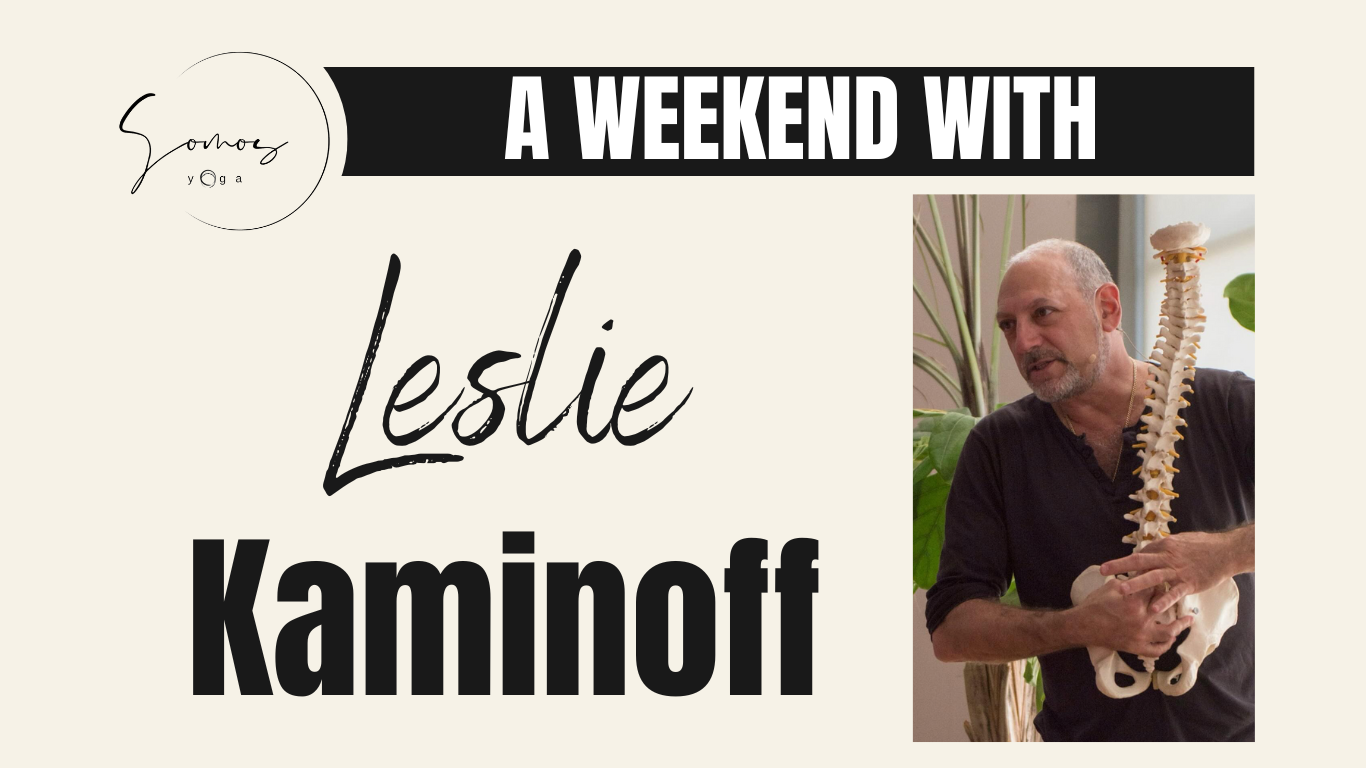 A weekend with Leslie Kaminoff (Friday)
