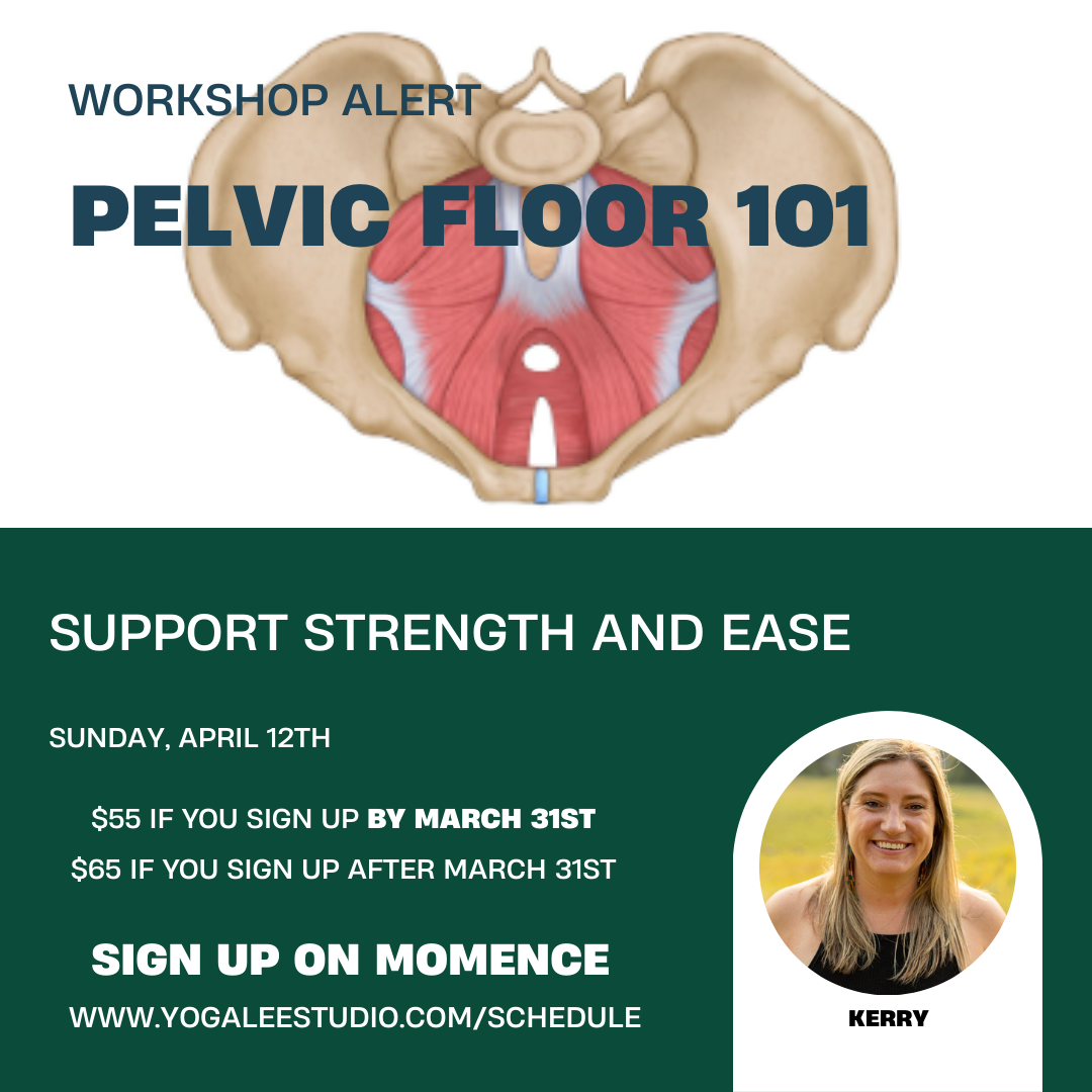Pelvic Floor 101