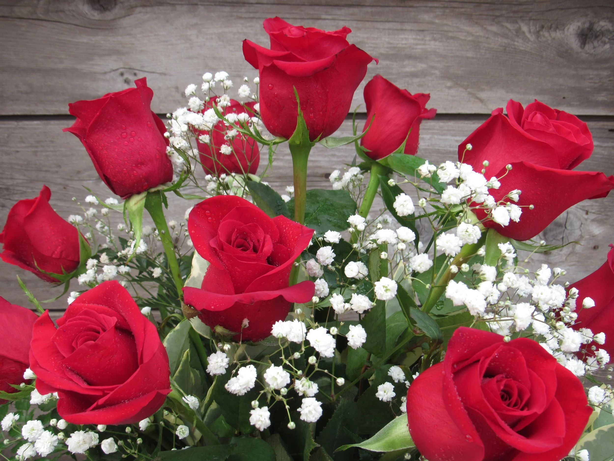 Ecker's Flowers & Greenhouse
