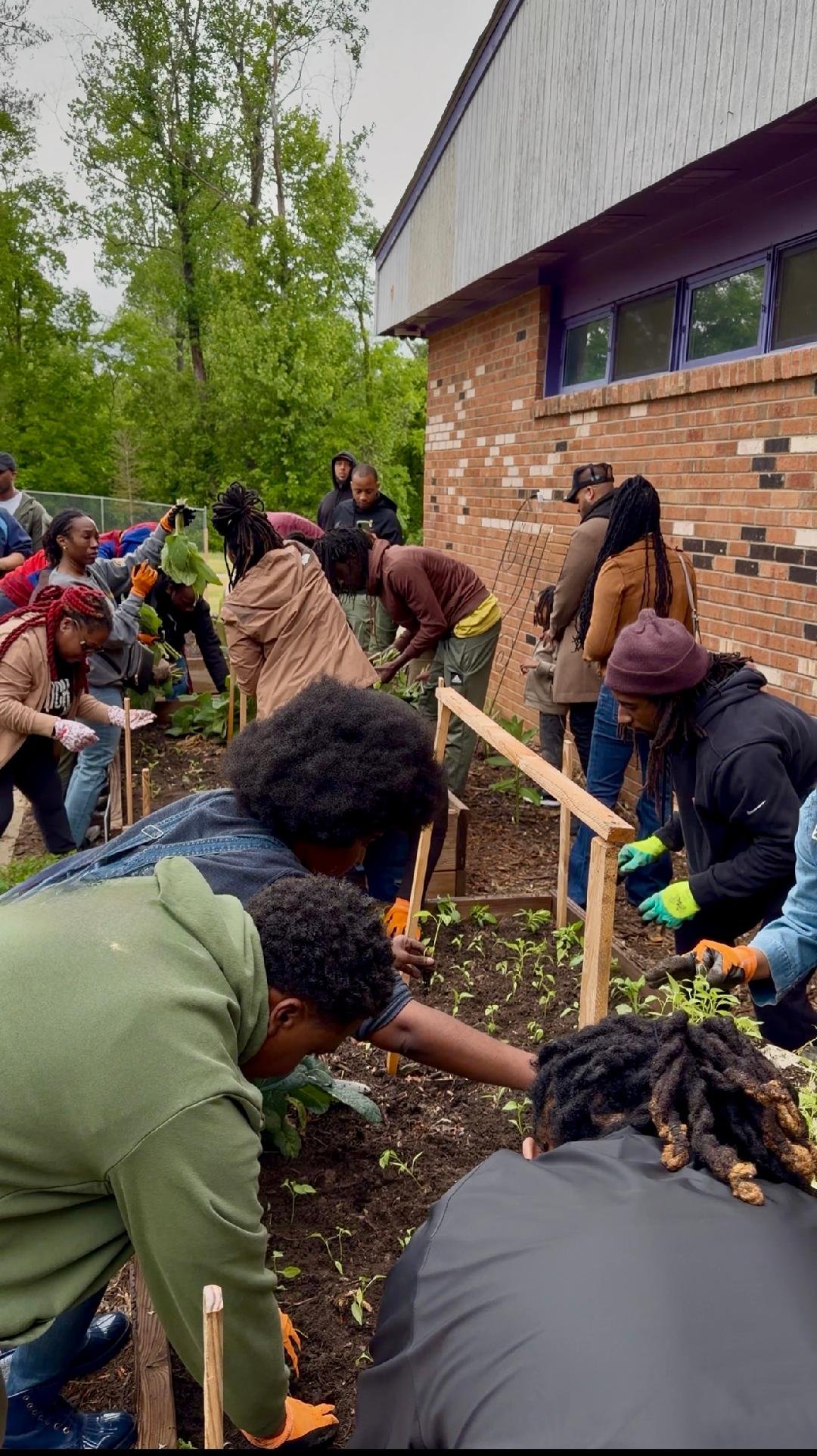 Seasonal Planting Day