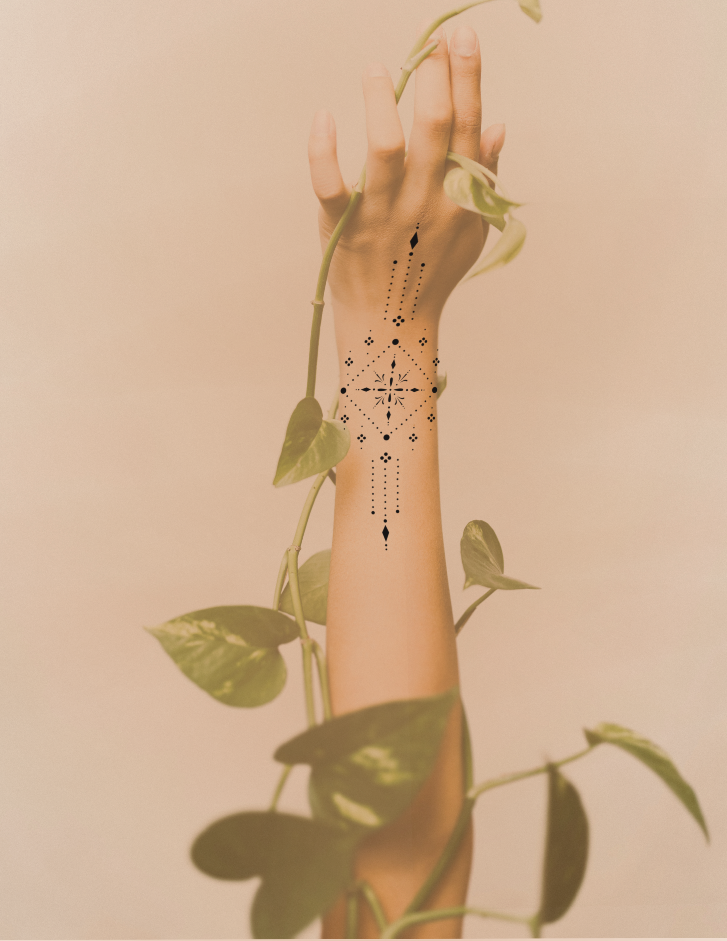 FA03DB1B-D133-4F53-9704-D0E4008E8DBF.png