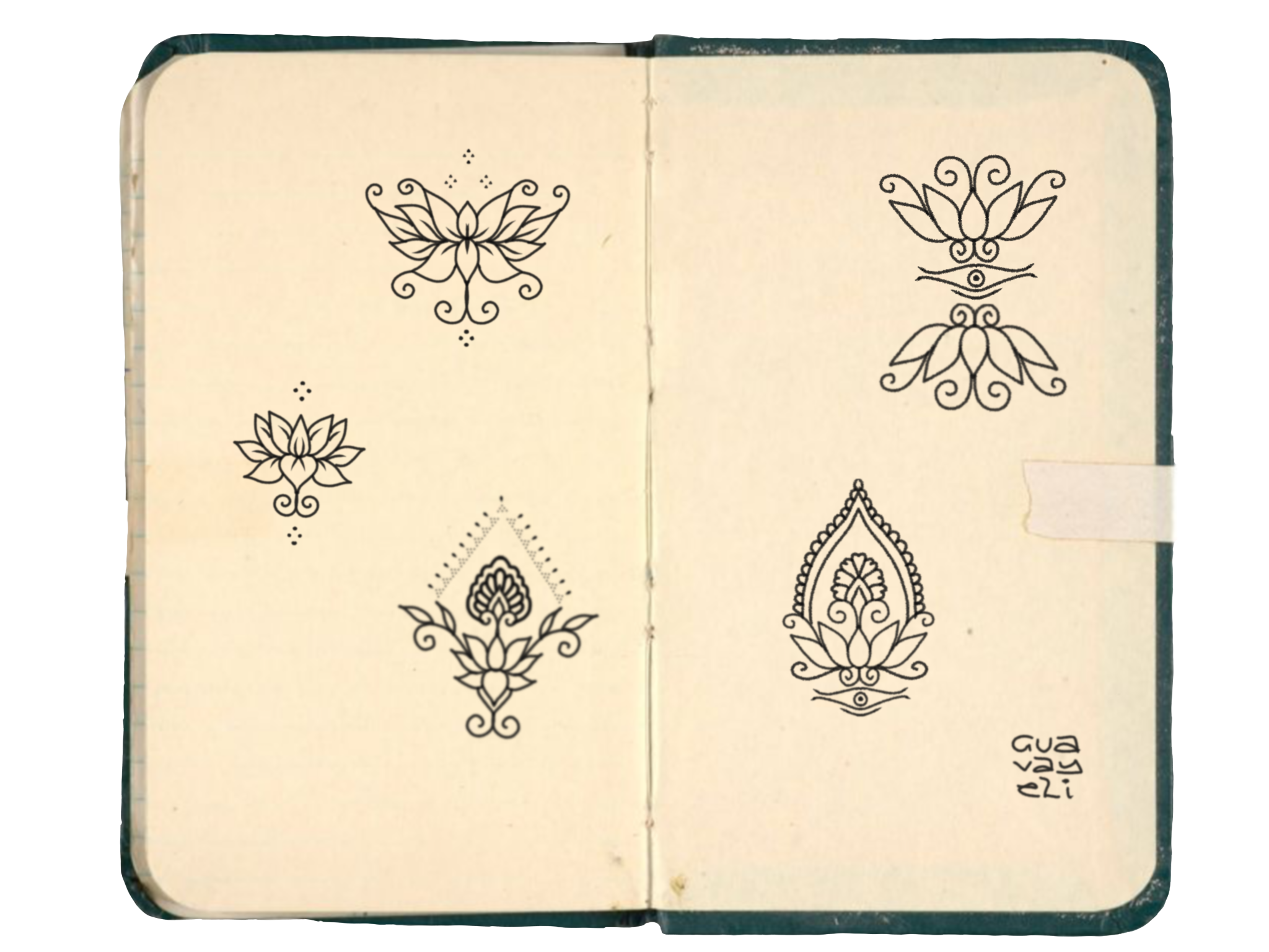 389E1D68-31D2-48EC-A55A-00DAA25802AA.png