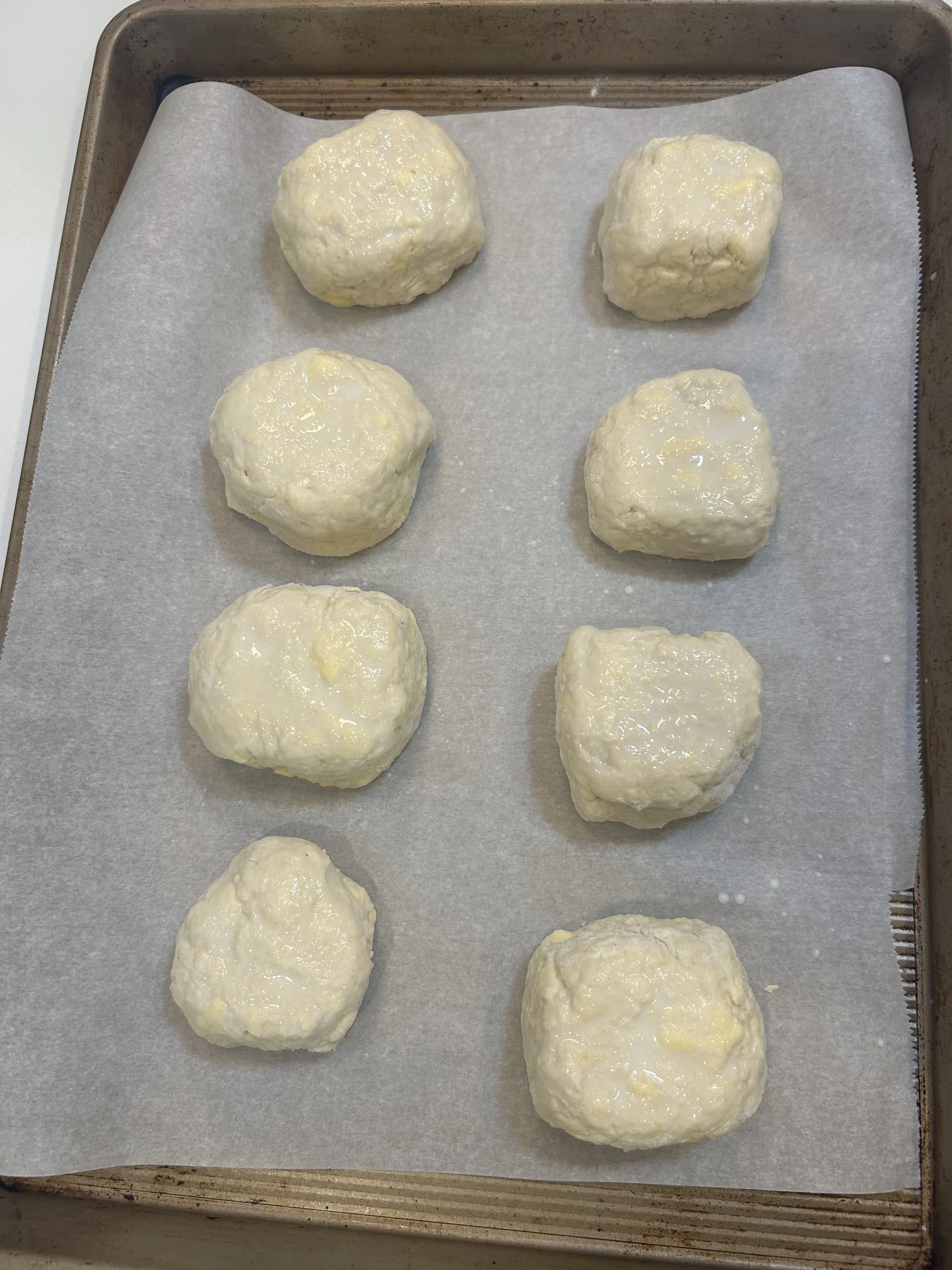 Biscuits ready to bake on a sheet pan and brushed with milk to promote browning