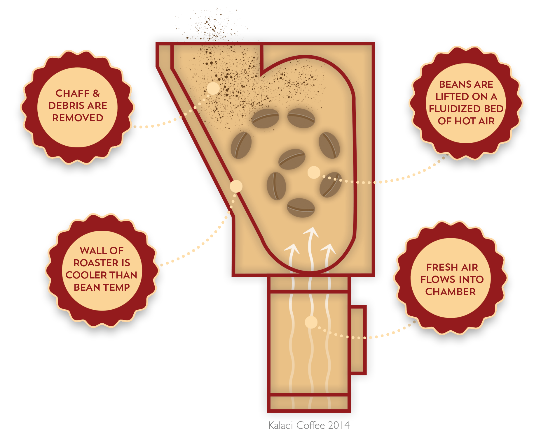 The Advantages of Convection in Coffee Roasting