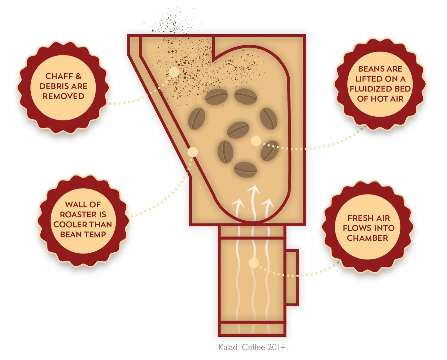 Convection is not a trend. It is physics doing the heavy lifting.

In our latest blog, we break down:
&bull; Why convection transfers heat more efficiently
&bull; How it shortens roast times and between-batch protocols
&bull; What it means for consis