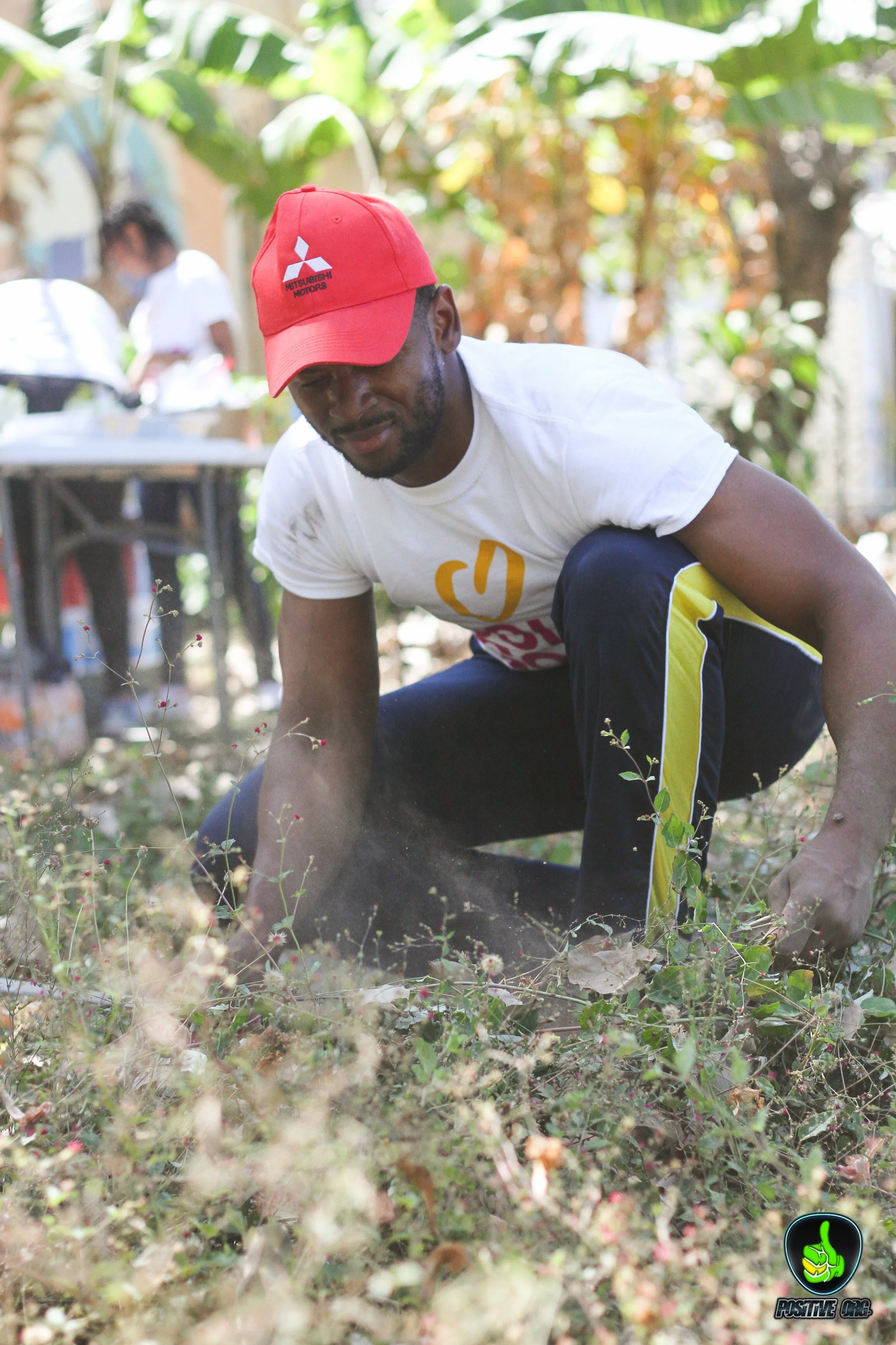 plantforpeace_april15_2018-7.jpg