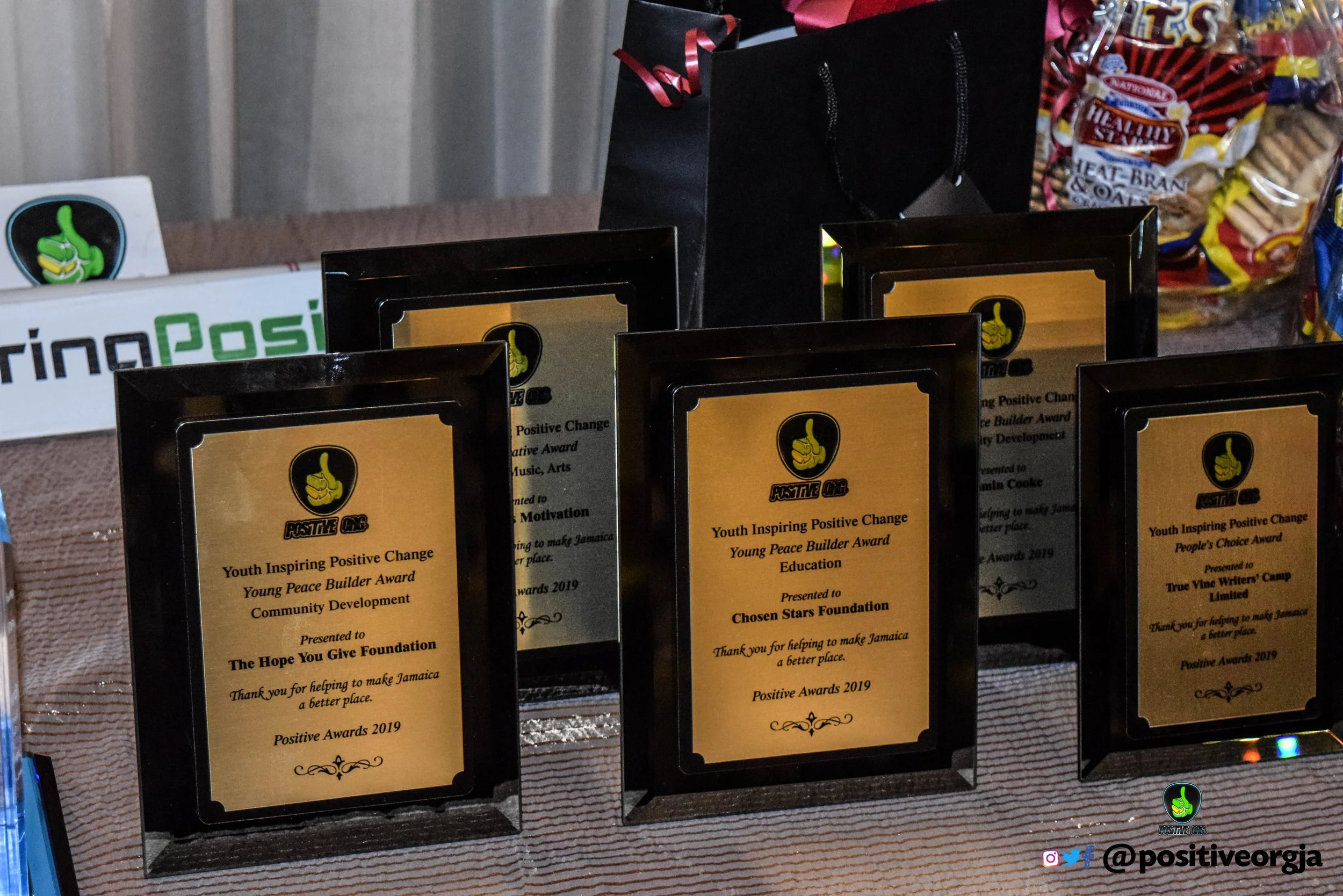 Positive Awards (110 of 631).jpg