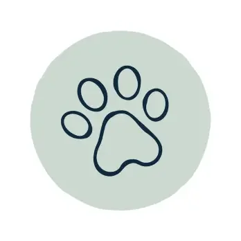 Dog walking and backyard potty breaks in Fort Worth, Keller and Haslet, TX