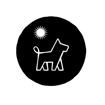 Dog walking and Pet Taxi in Fort Worth, TX