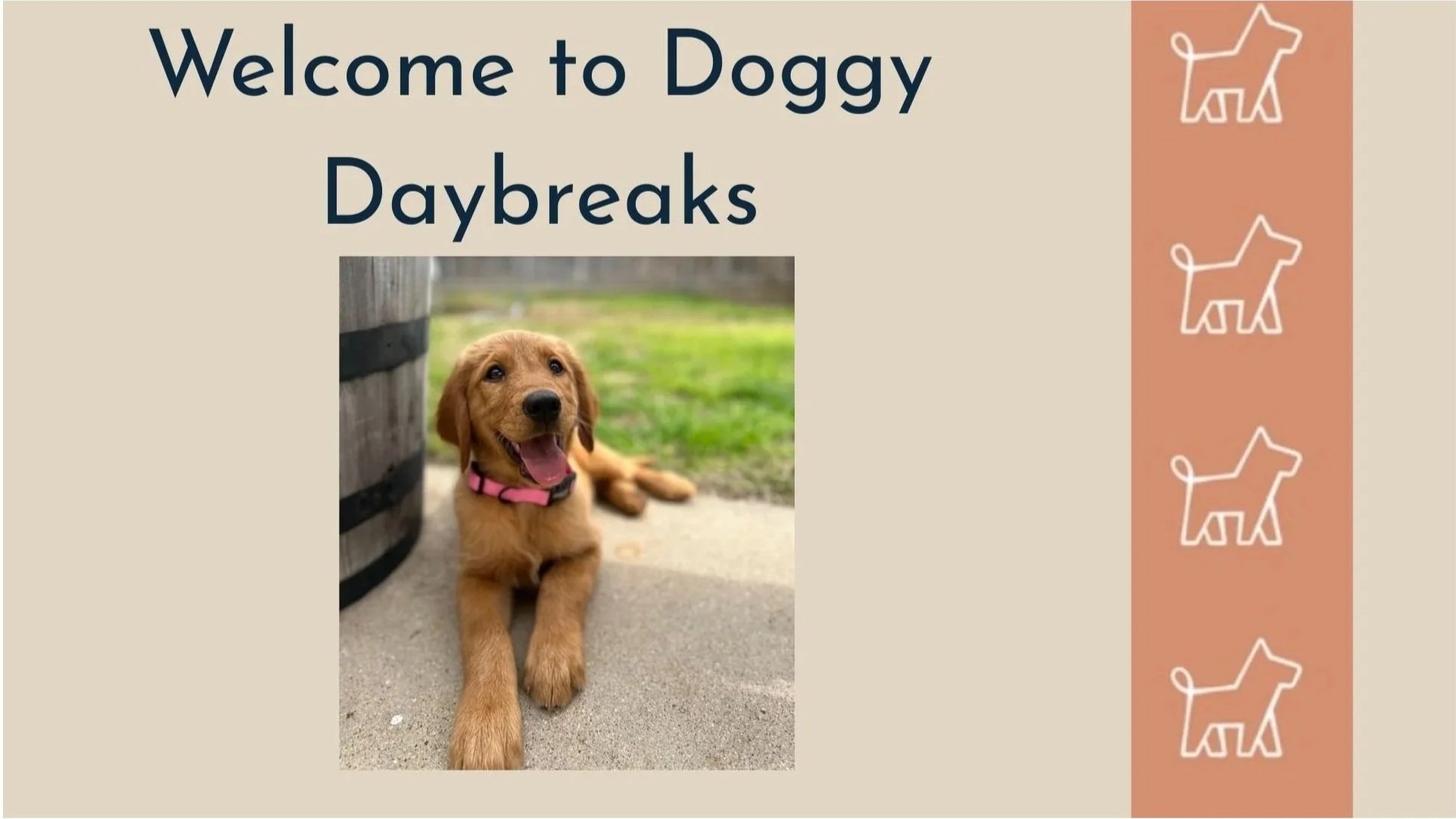 Puppy on Potty Break after Dog Walking in Fort Worth