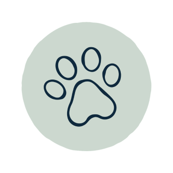 Paw print for dog walking in Lake Worth, TX