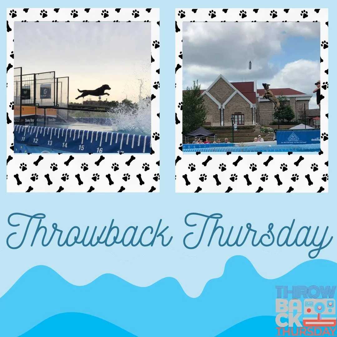 Throwback to the 2019 DockDogs and these impressively athletic dogs!🐶This is an amazing way to show off your dog or watch them with your community!  Your canine companion will also be able to brag to all of their friends around the neighborhood abou