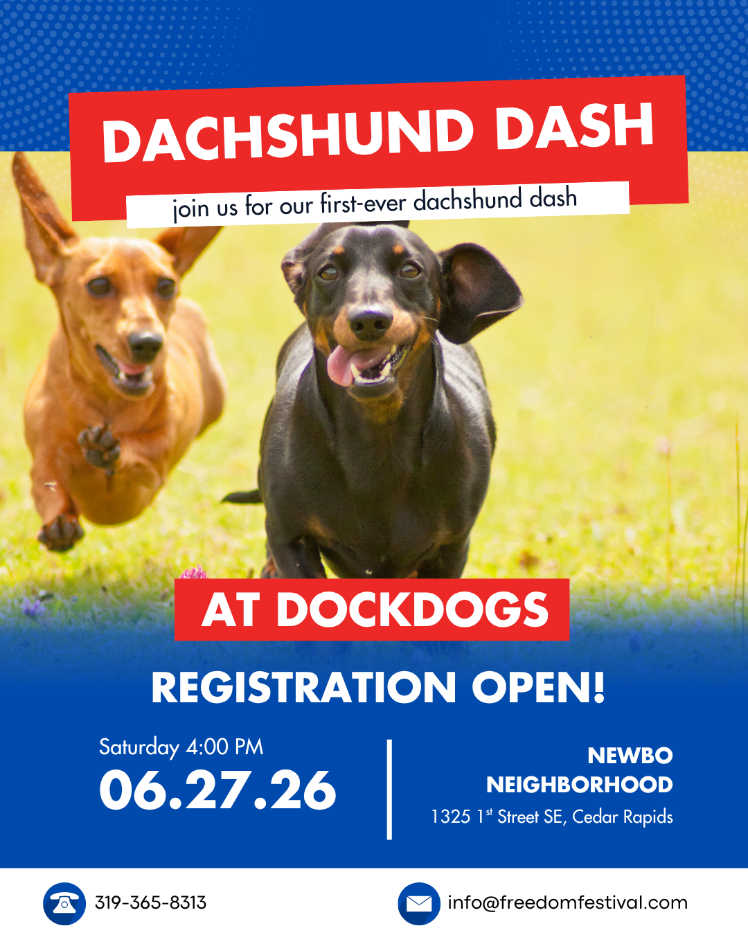 dachshund dash (1).png