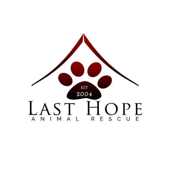 Last-Hope_logo.png