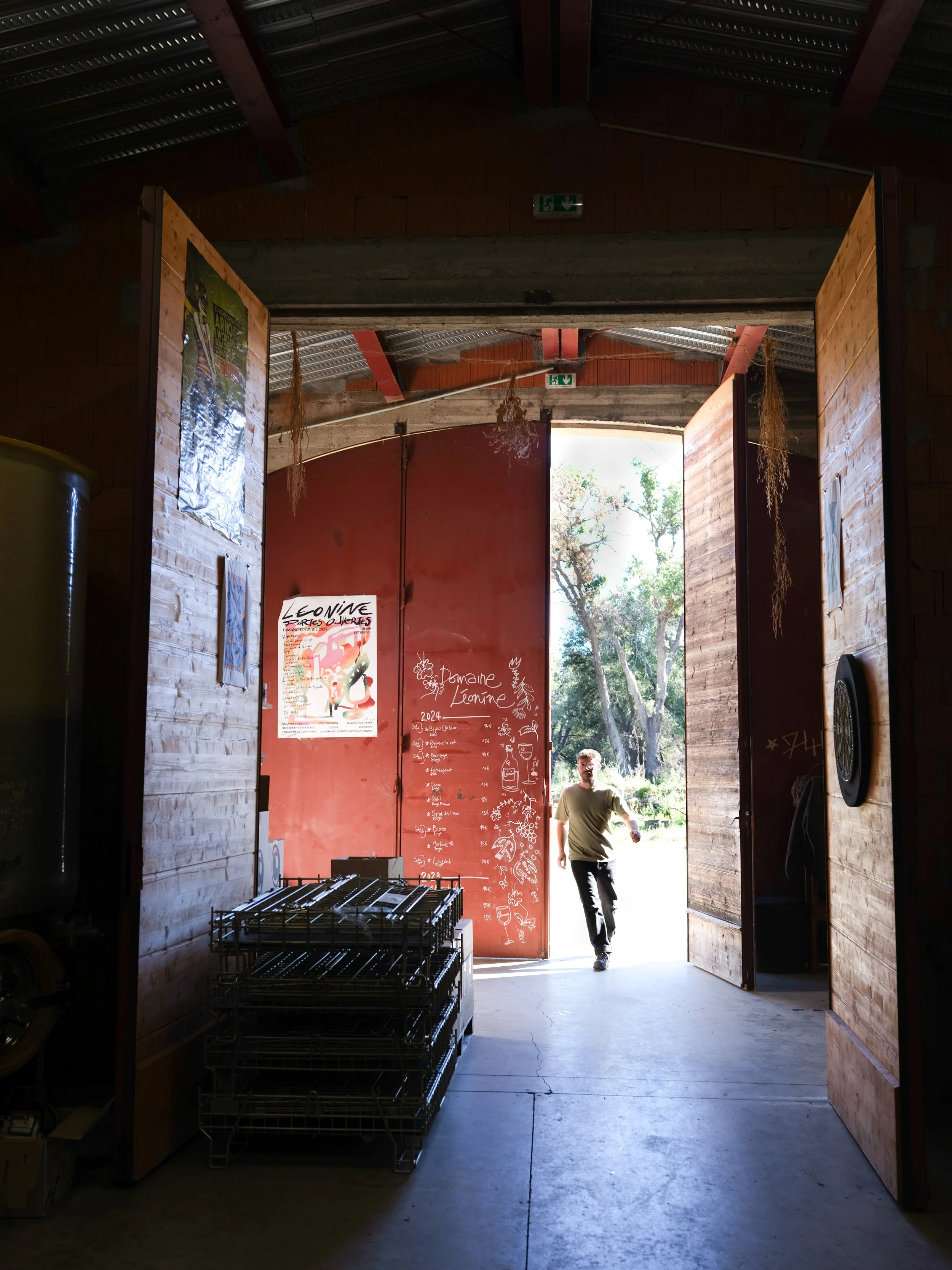 Domaine Leonine cellar