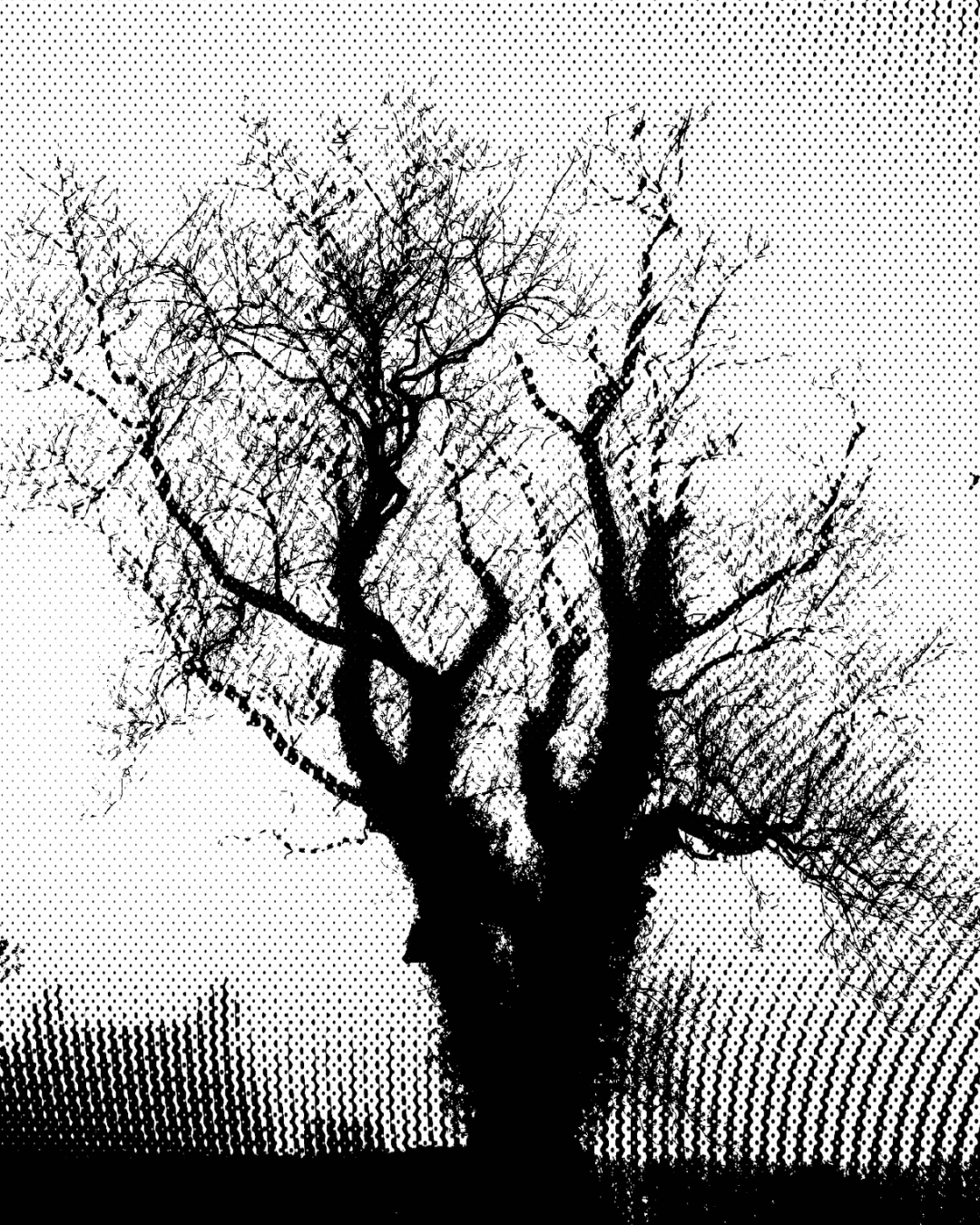 Why do narratives of scarcity resonate differently in the Midwest than in coastal metros?