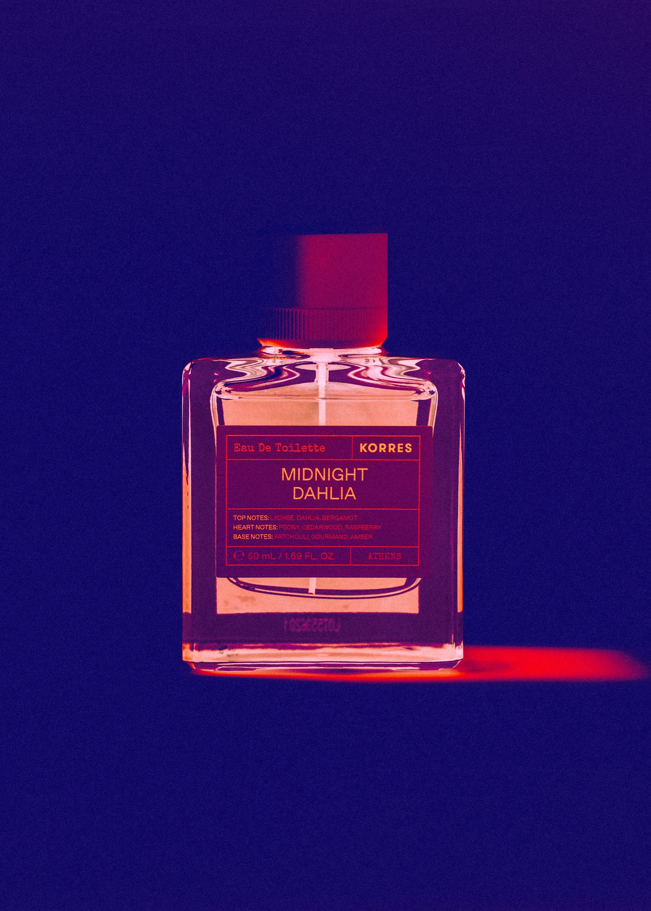 Midnight Dahlia4.jpg