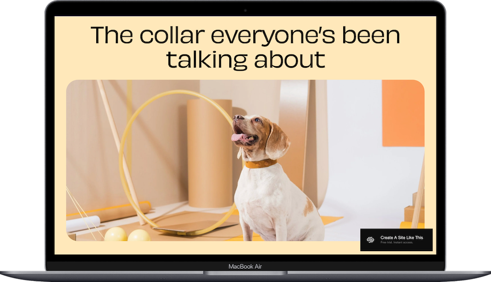 Wesley Squarespace Template Review
