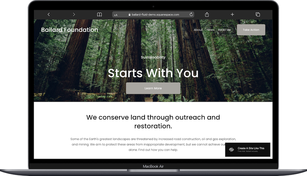 Bailard Squarespace Template Review