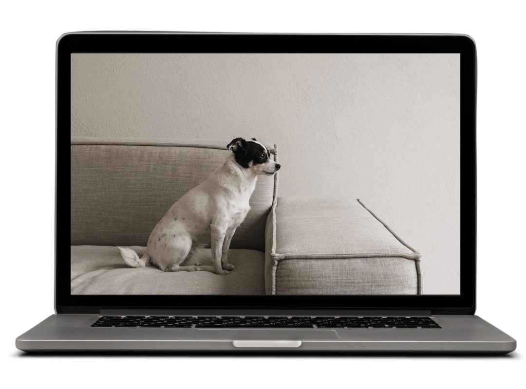 How to Transfer your Google Site To Squarespace