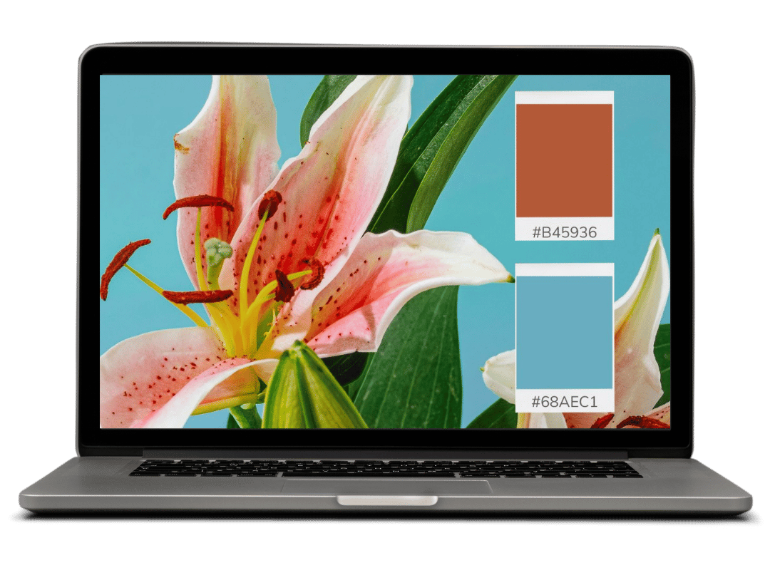 Botanical Color Palettes for Your Squarespace Website