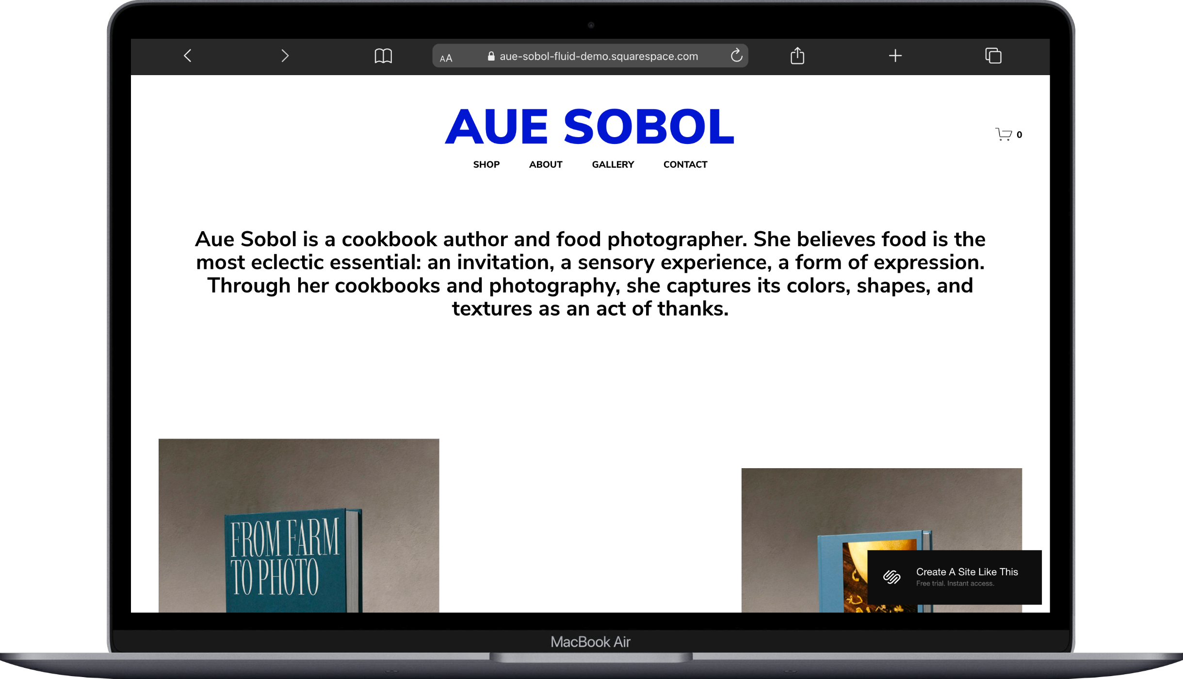 Aue Sobol Squarespace Template Review