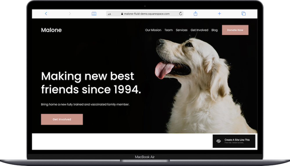 7 Best Squarespace Templates for Nonprofits (2026) JPK Design Co