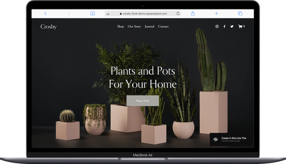 Crosby Squarespace Template Review
