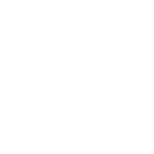 The Stay in Your Láyn Foundation