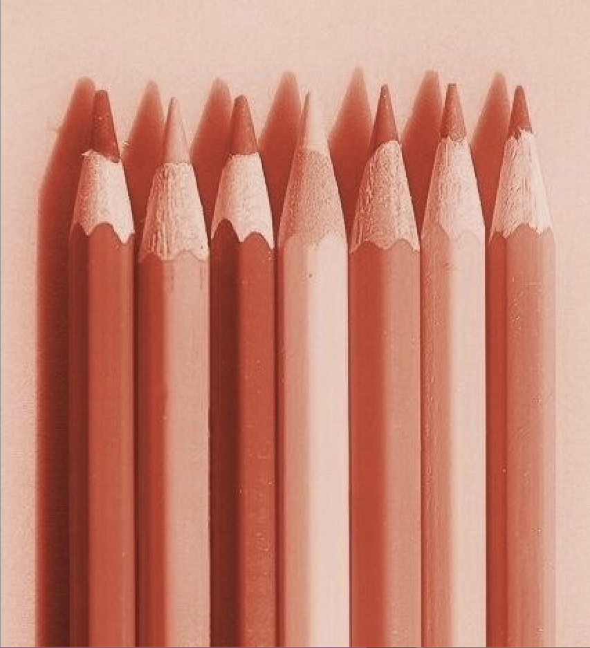 Aesthetics vs Function