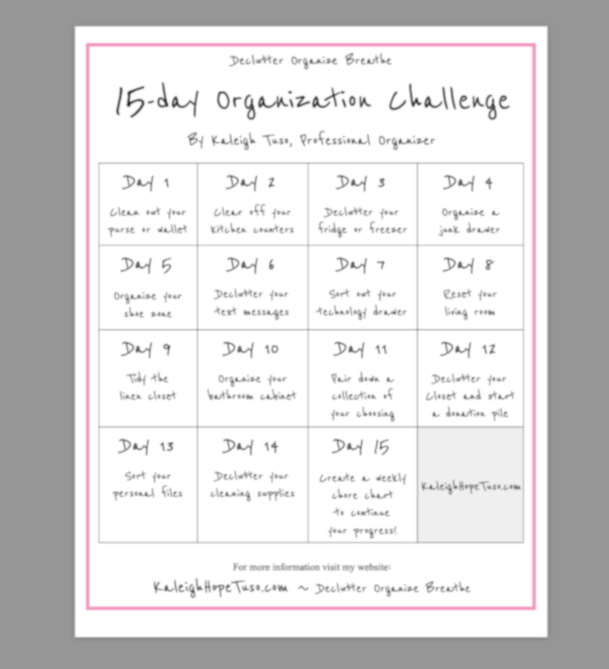 15-Day Organization Challenge