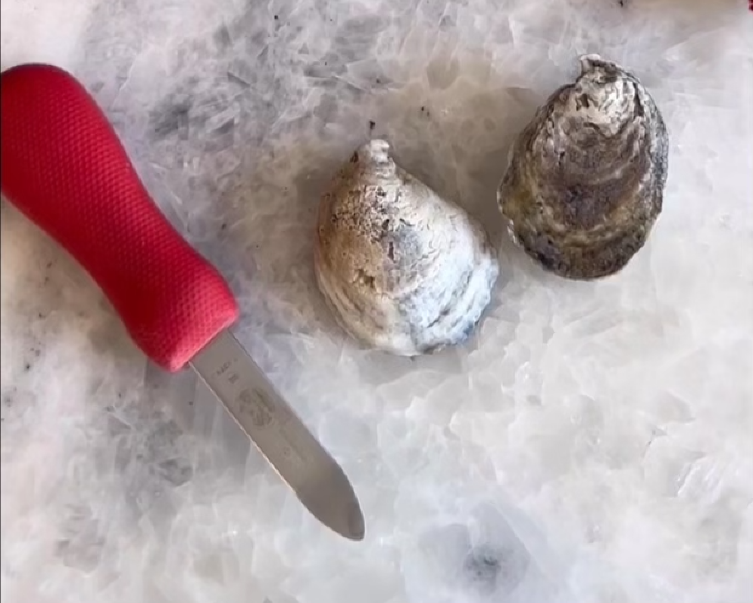 Oyster Knife