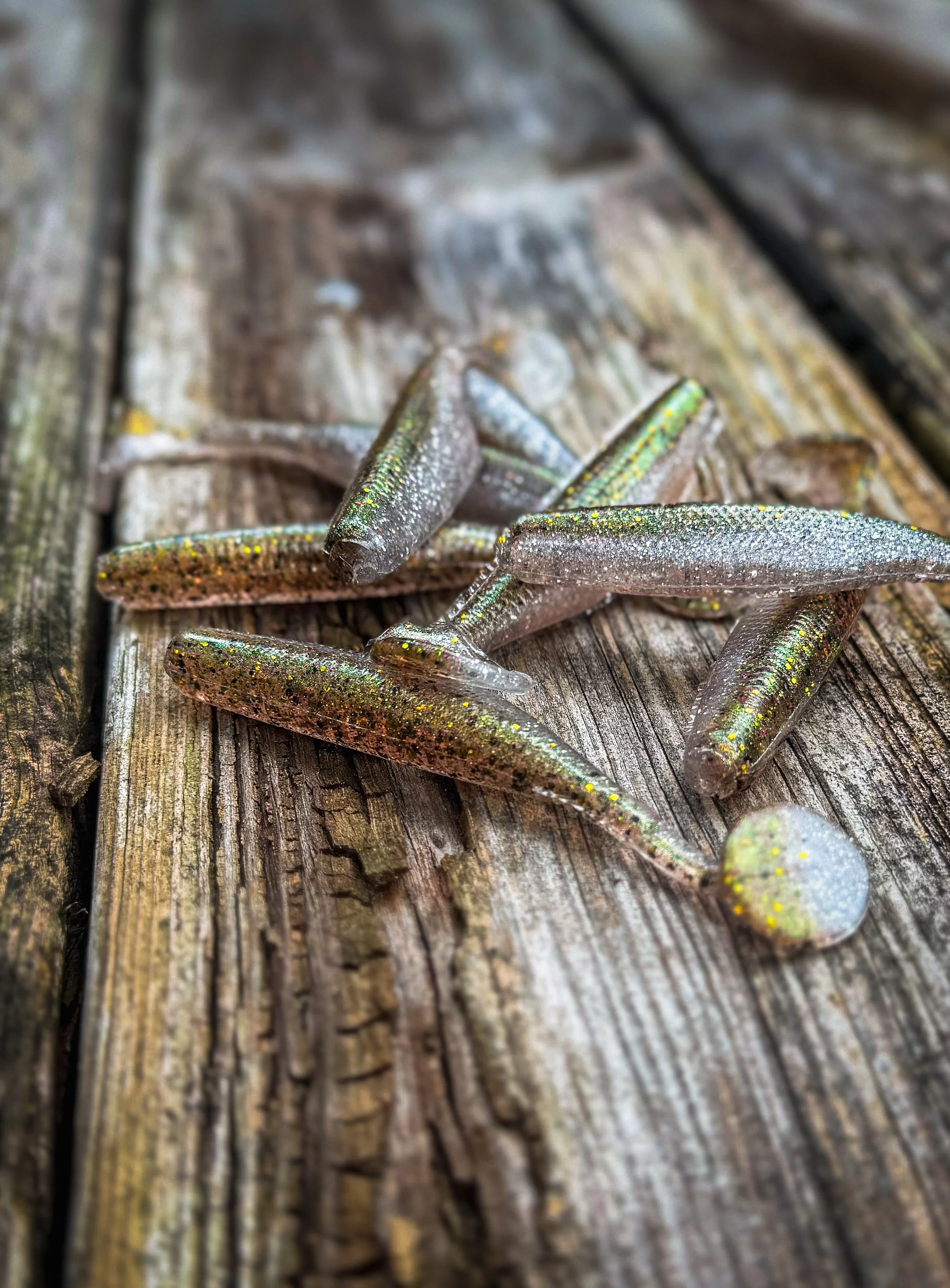 Swim Baits