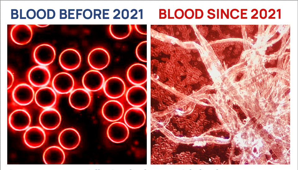 blood_since_2021_biologix.gif